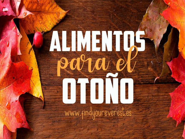 ALIMENTOS PARA EL OTOÑO