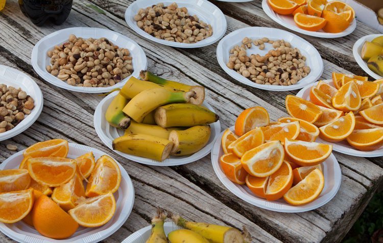 NUTRICIÓN Y SUPLEMENTACIÓN PARA UN ULTRA