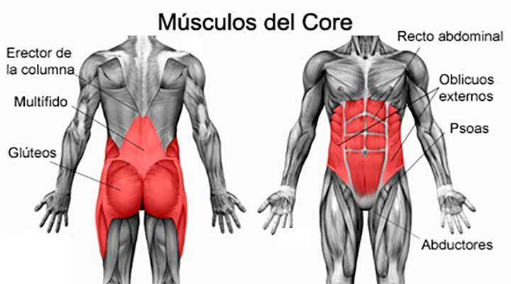 Músculos del Core